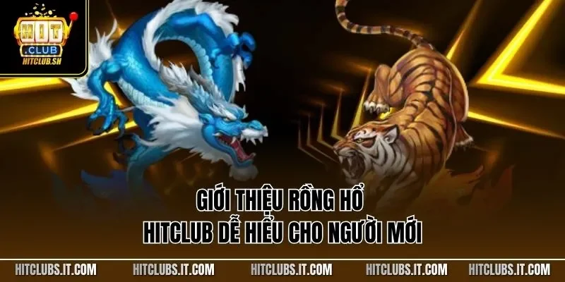 Giới thiệu Rồng Hổ HITCLUB dễ hiểu cho người mới