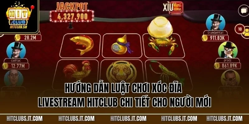 Hướng dẫn luật chơi xóc đĩa livestream HITCLUB chi tiết cho người mới